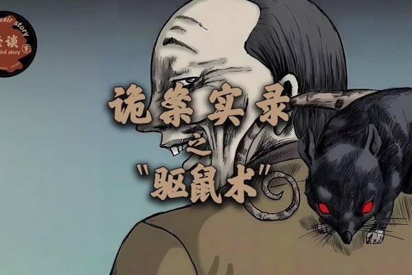 猪象征最后凶手，谜底鼠常成群作案-方知甜