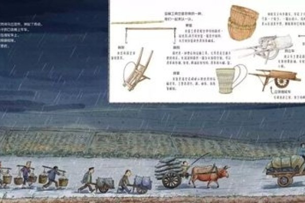 禾稻，中国传统农耕文化的基因密码-方知甜