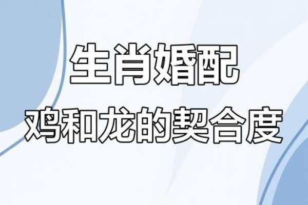 属鸡男最佳婚配，龙、蛇，六合辰龙更佳-方知甜