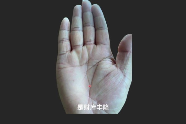 揭秘有钱人的手相，财富纹路的秘密-方知甜