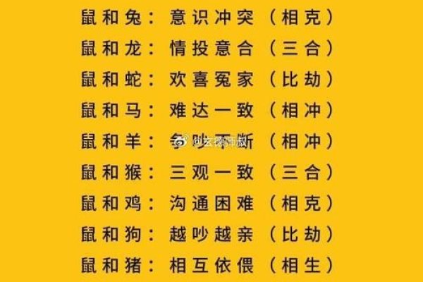 属鼠与什么属相最配，探寻生肖佳缘的奥秘-方知甜