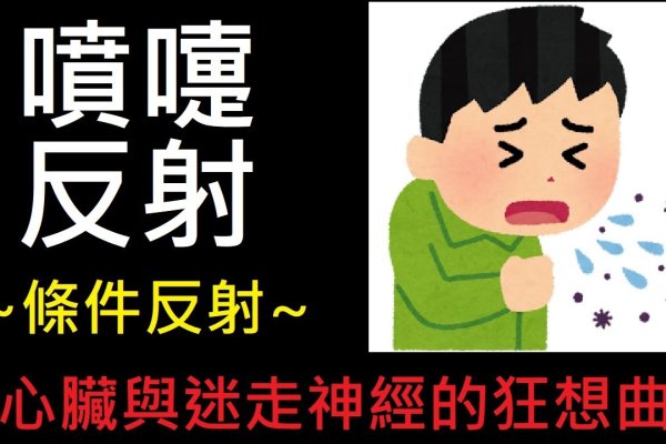 喷嚏预测，从生理反应到健康预警的新探索-方知甜