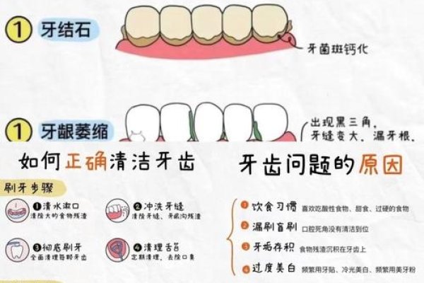 探秘牙齿相学,古老智慧与现代健康的交汇-方知甜