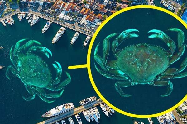 揭秘有蟹这个姓氏,鲜为人知的海洋之姓-方知甜