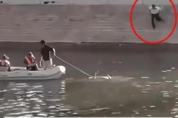 惊魂一刻,我爸爸掉水里了-方知甜