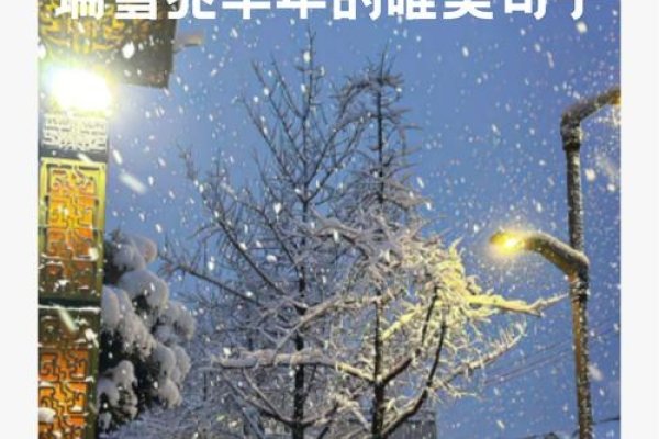 11月14号，冬日初雪的温柔预兆-方知甜