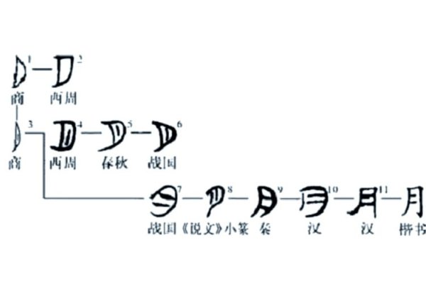 探秘月字旁的汉字世界，从形意到文化-方知甜