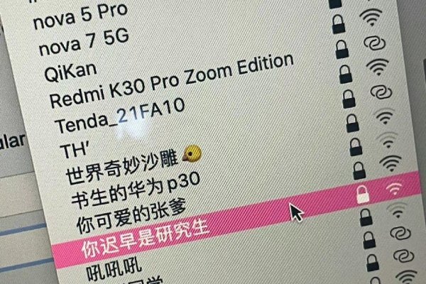 探索最火的网名背后的流行趋势与文化意义-方知甜