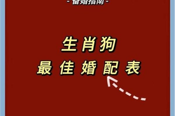 狗男最佳婚配属相组合，生肖配对建议-方知甜