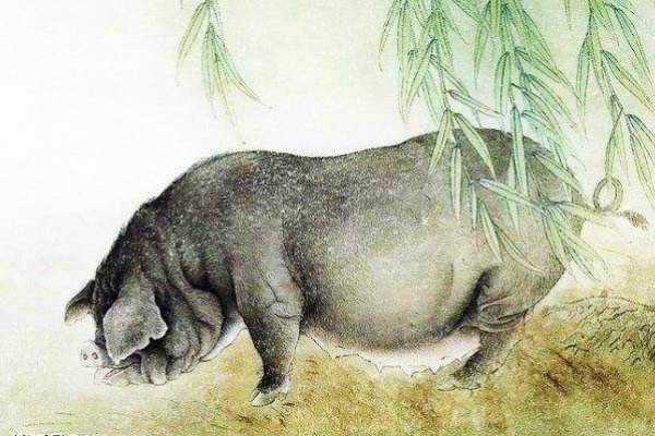 猪狗之辈打一生肖，神秘命格与生肖图腾的奇幻联结-方知甜