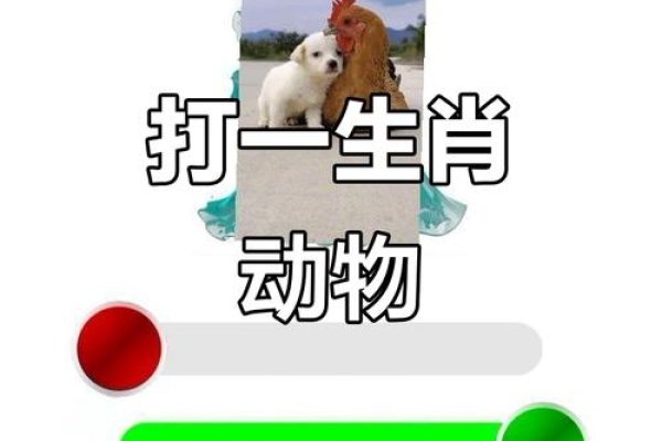 喧嚣之夜，猜一动物，鼠、鸡或兔猴？-方知甜