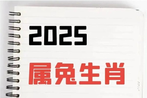 下一个兔年，2035年的希望与机遇-方知甜