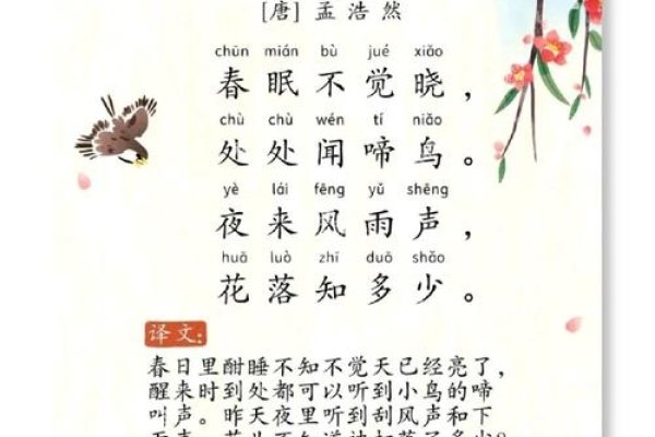 鸟语花香，探索鸟儿拼音的奥秘-方知甜