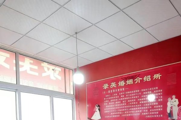 洛阳婚介机构推荐，专业配对，真实可靠-方知甜