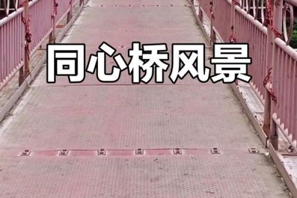 襄阳交友网，连接心与心的桥梁-方知甜