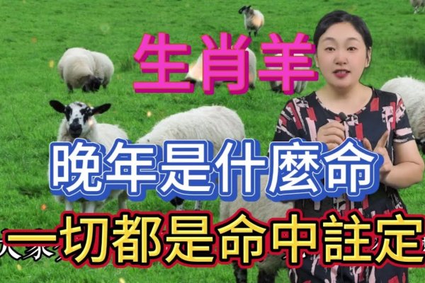 谜语解析，生肖羊的秘密-方知甜