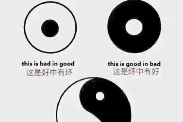 阴阳历转换，传统与现代的奇妙互动-方知甜