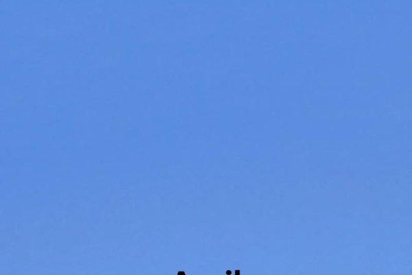 4月日历，编织春天的美好轨迹-方知甜