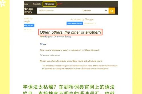 测英文名的网站（实用型编辑工具）-方知甜