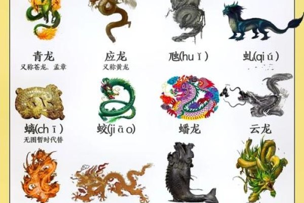 谜语，翻来覆去，头顶冕冠的生肖是龙-方知甜