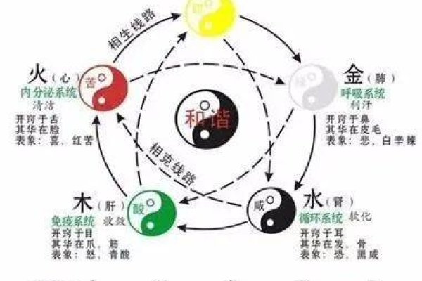 戌月丁火，甲庚并用，平衡五行取用神策略-方知甜