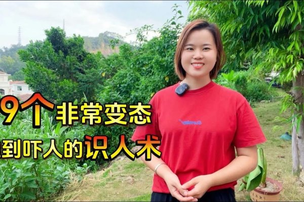 慧眼识人，如何精准看相的实用指南-方知甜