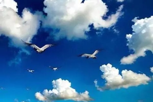 闲云野鹤，生肖蛇的自由与超脱之谜-方知甜