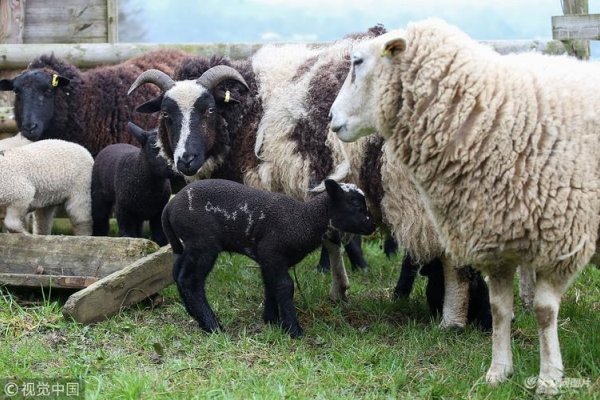 4月10日，耶稣受难日与非洲环保日-方知甜