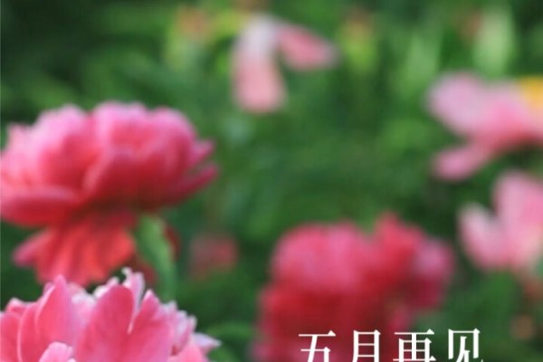 5月月历，春意盎然，生机勃发的季节-方知甜