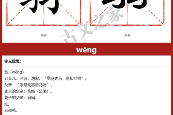 翁组词与拼音的奇妙之旅-方知甜