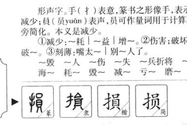 损字发音与常见组词解释-方知甜