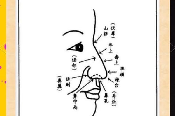 鼻子看相，古老智慧与现代心理的微妙交织-方知甜