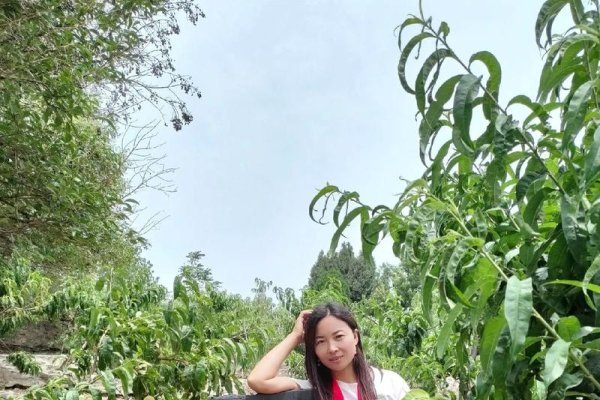 寻找理想之处的莱芜征婚之路-方知甜