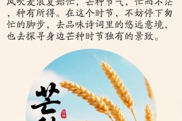 芒种时辰，春耕时节的天人互动与农事探索-方知甜