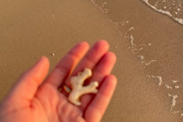 3字网名精选，梦飞扬、云轻舞等，寓意美好-方知甜