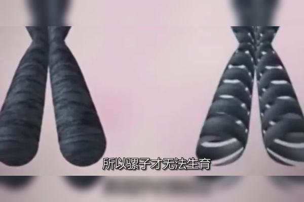 痦子位置透露健康与命运信息-方知甜