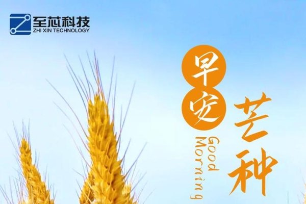 芒种，播种希望，收获幸福-方知甜