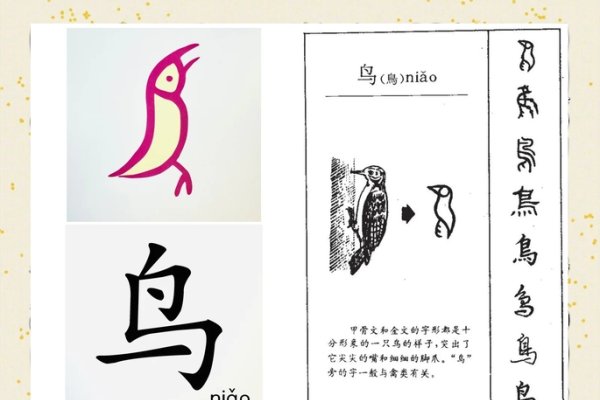 翁字偏旁为羽，源于字义与鸟关联-方知甜