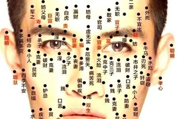 男子痣相图，观察痣的奥秘与解读-方知甜