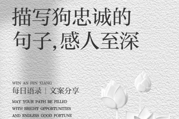 赤子之心，忠诚之选——狗-方知甜