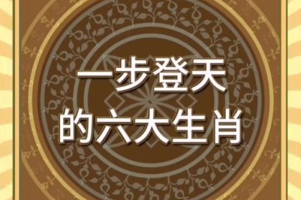 一步登天是什么生肖？-方知甜