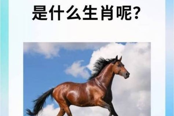 一表非凡指的是马生肖-方知甜