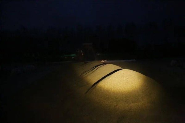 雨打灯笼，一场静谧而哀愁的夜-方知甜