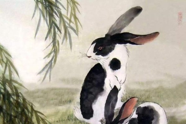 一大一小揭秘，生肖兔VS龙蛇之争-方知甜