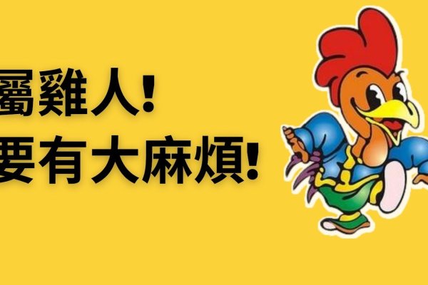 眼高手低生肖属鸡，寓意过高期望却难达标 。-方知甜