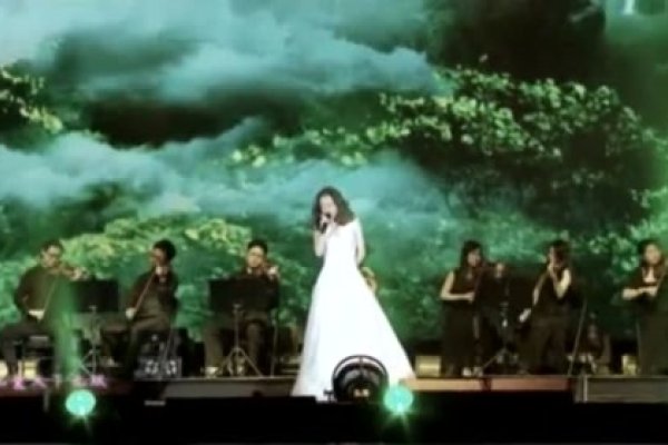 以歌为桥，共赴心灵之旅——记歌手名字的音乐世界-方知甜