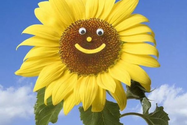 阳光微笑，传递正能量-方知甜