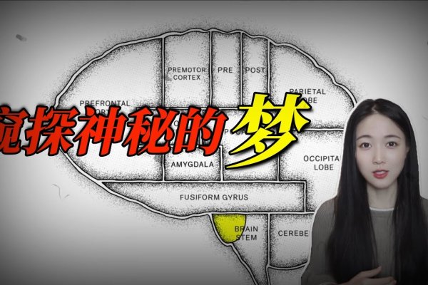 已婚女性梦到牙齿掉落，象征内心不安与能力焦虑-方知甜