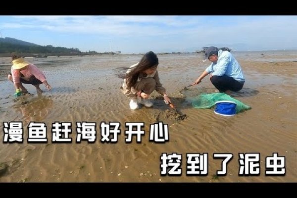 阳江初一十五退潮赶海秘境指南-方知甜
