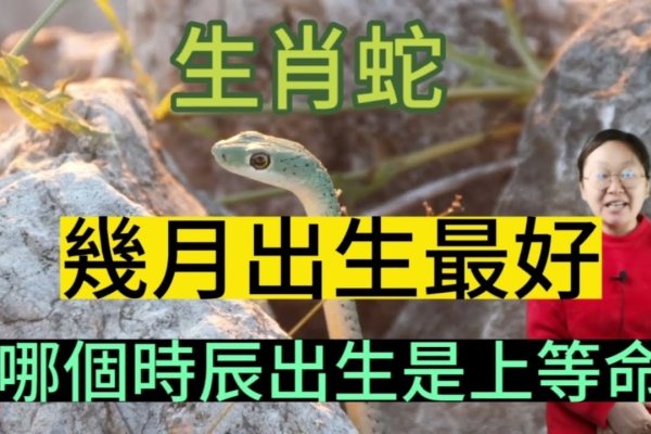 一年四季蛇，秋代表性生肖-方知甜